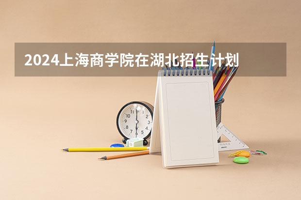 2024上海商学院在湖北招生计划