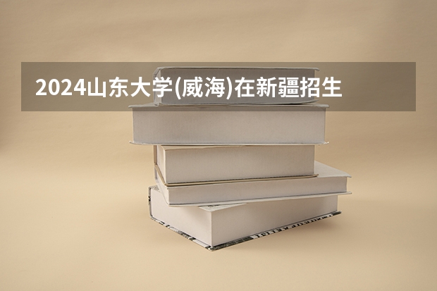 2024山东大学(威海)在新疆招生计划