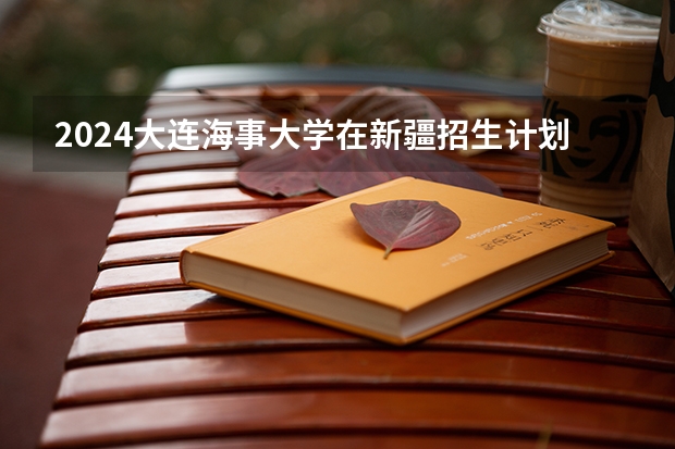 2024大连海事大学在新疆招生计划
