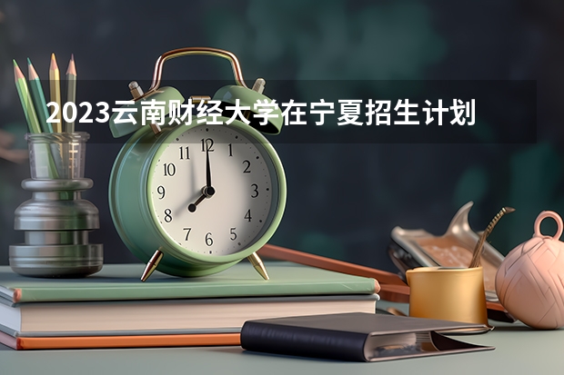 2023云南财经大学在宁夏招生计划