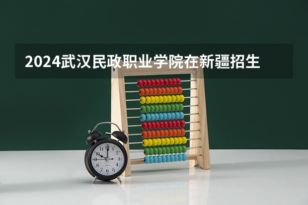 2024武汉民政职业学院在新疆招生计划