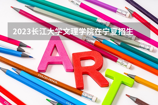 2023长江大学文理学院在宁夏招生计划