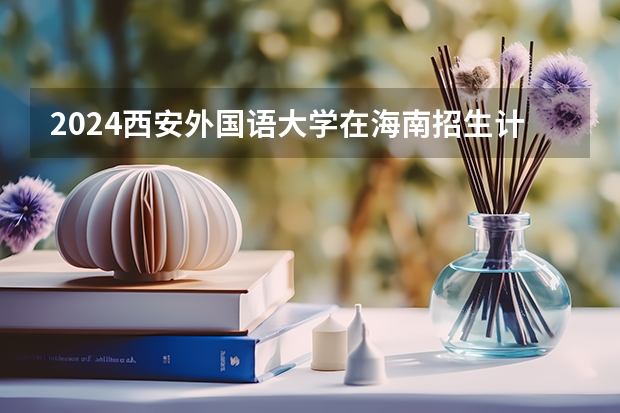 2024西安外国语大学在海南招生计划
