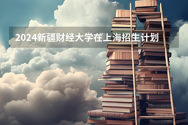 2024新疆财经大学在上海招生计划