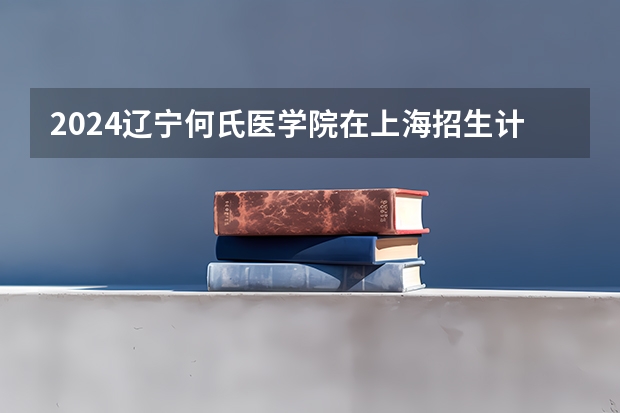 2024辽宁何氏医学院在上海招生计划
