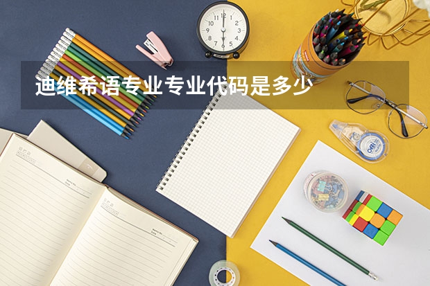 迪维希语专业专业代码是多少