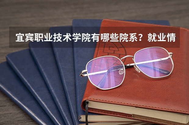 宜宾职业技术学院有哪些院系？就业情况如何？