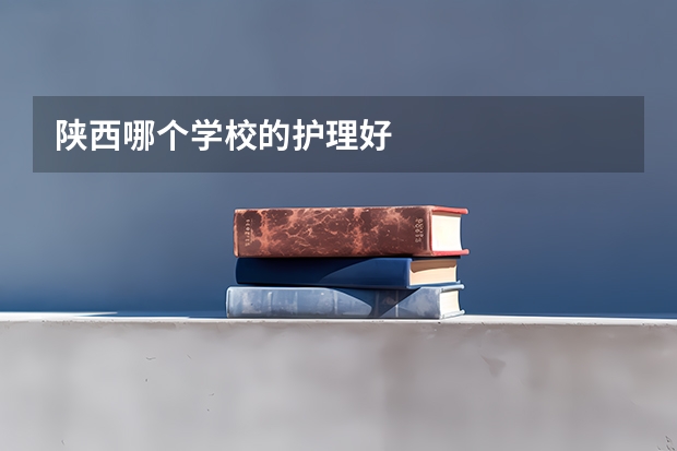 陕西哪个学校的护理好