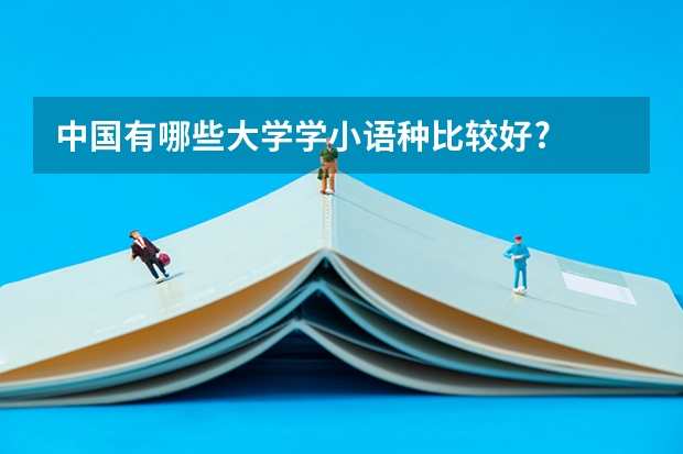 中国有哪些大学学小语种比较好?