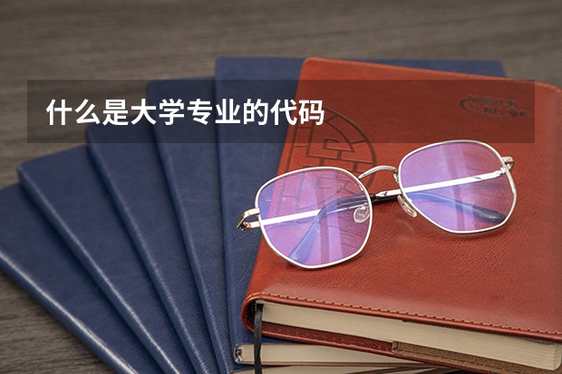 什么是大学专业的代码