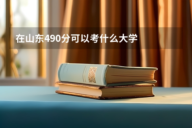 在山东490分可以考什么大学