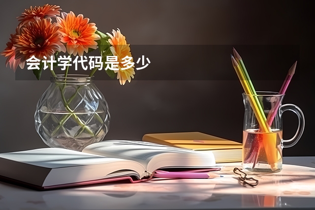会计学代码是多少