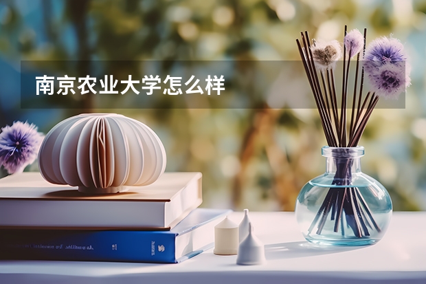 南京农业大学怎么样