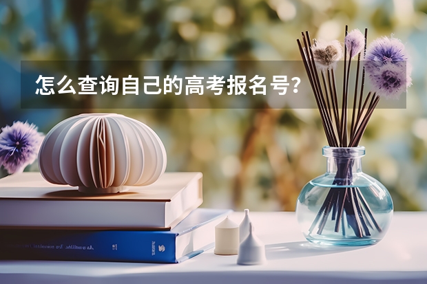 怎么查询自己的高考报名号？