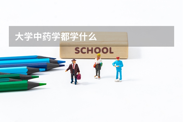 大学中药学都学什么