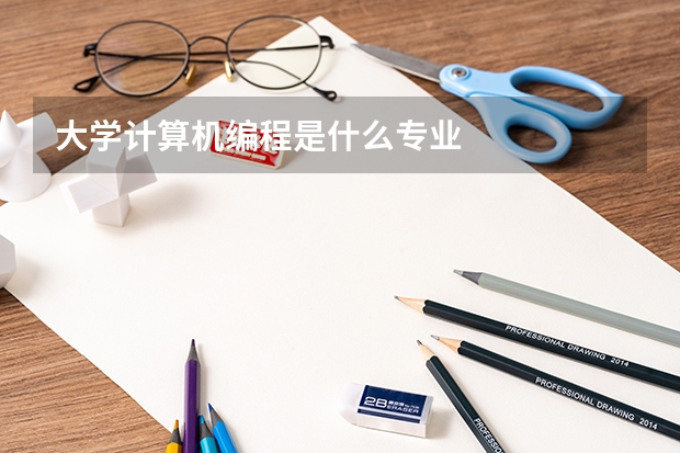 大学计算机编程是什么专业
