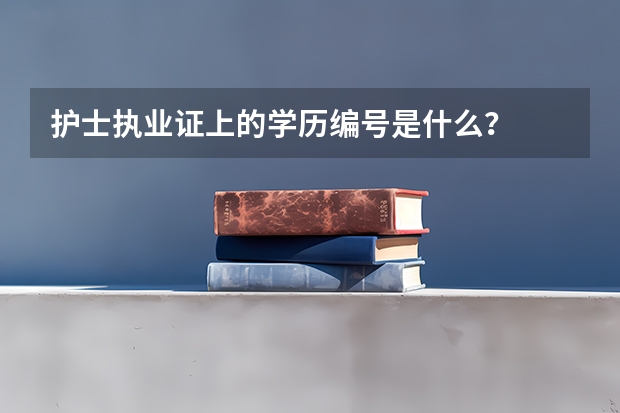 护士执业证上的学历编号是什么？