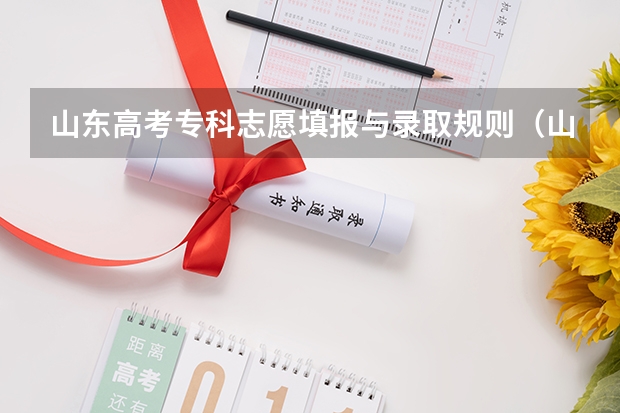 山东高考专科志愿填报与录取规则（山东新高考96个志愿录取规则 山东96个平行志愿录取规则）