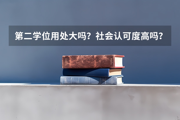 第二学位用处大吗？社会认可度高吗？