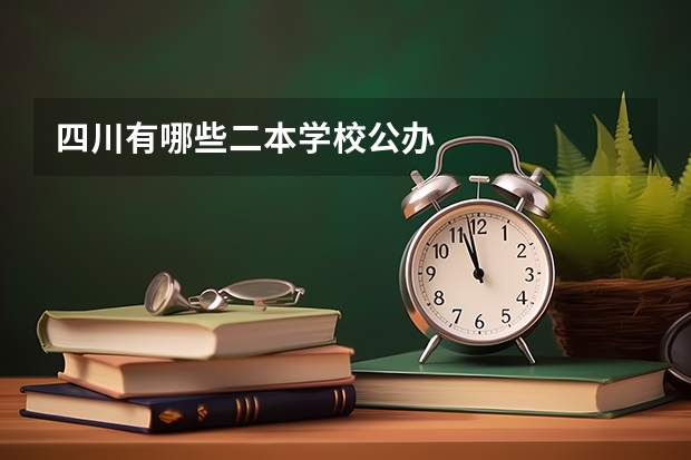 四川有哪些二本学校公办