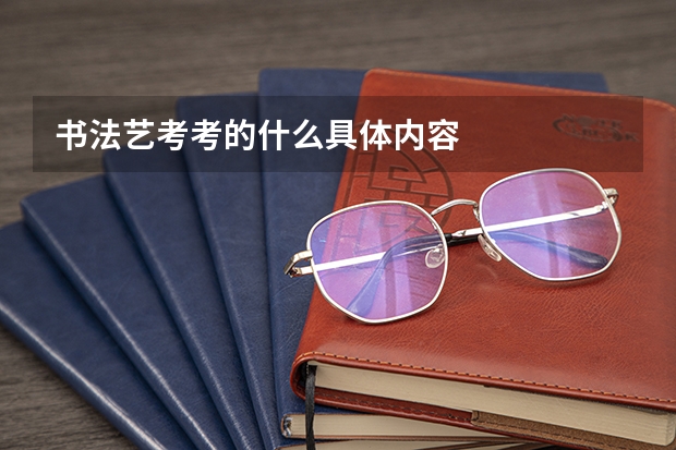书法艺考考的什么具体内容