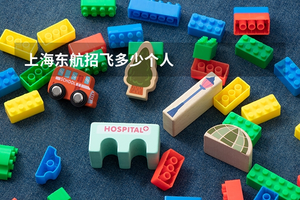 上海东航招飞多少个人