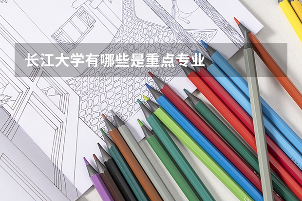 长江大学有哪些是重点专业