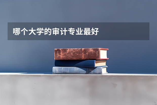 哪个大学的审计专业最好