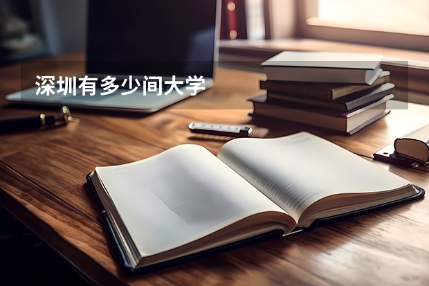 深圳有多少间大学
