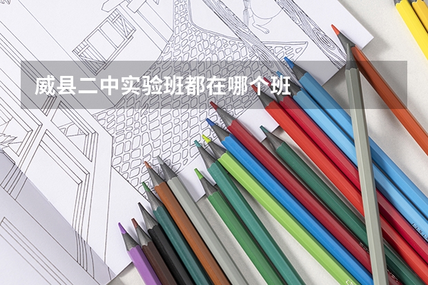 威县二中实验班都在哪个班