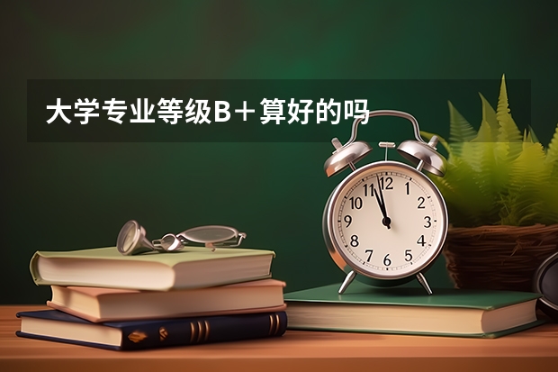 大学专业等级B＋算好的吗