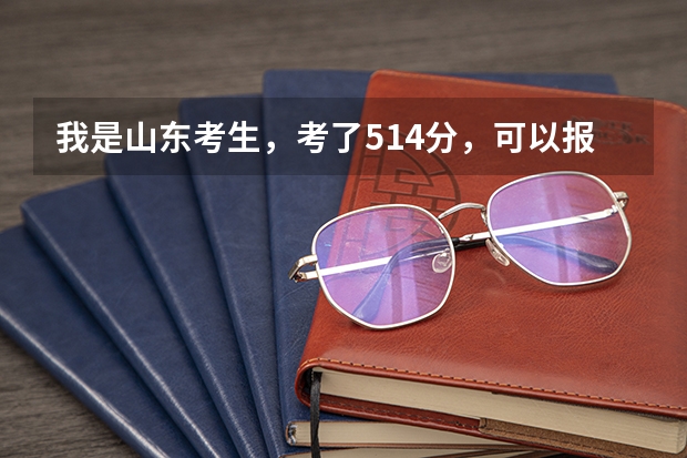 我是山东考生，考了514分，可以报省内的哪些大学啊？