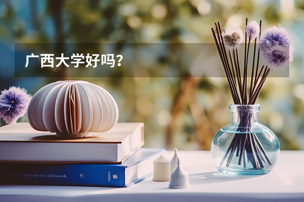 广西大学好吗？