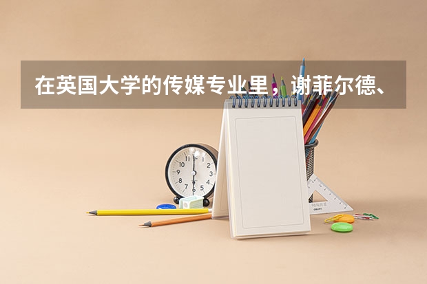 在英国大学的传媒专业里，谢菲尔德、卡迪夫、莱斯特所擅长的方面各是什么？