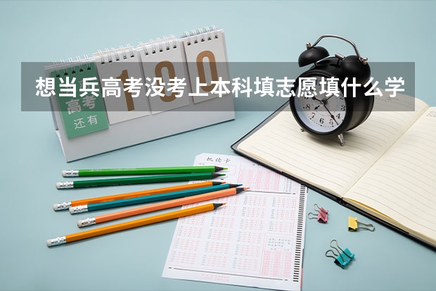 想当兵高考没考上本科填志愿填什么学校好？