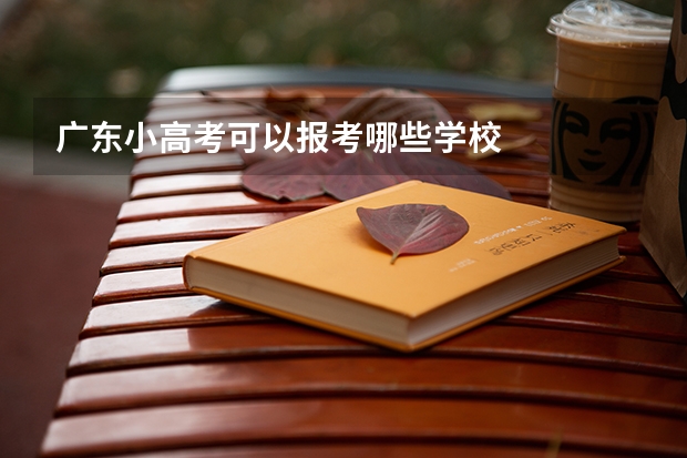 广东小高考可以报考哪些学校