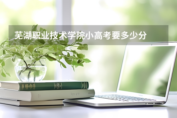 芜湖职业技术学院小高考要多少分