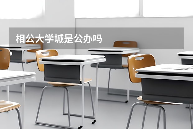 相公大学城是公办吗