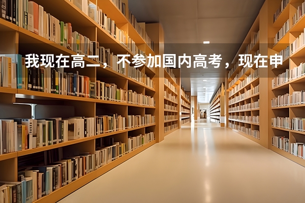 我现在高二，不参加国内高考，现在申请出国留学，需要哪些条件？