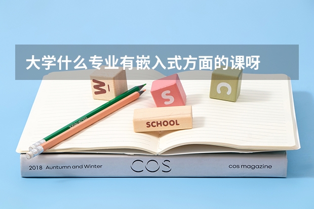 大学什么专业有嵌入式方面的课呀
