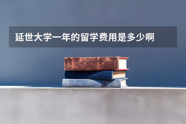 延世大学一年的留学费用是多少啊