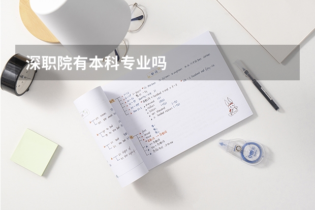 深职院有本科专业吗