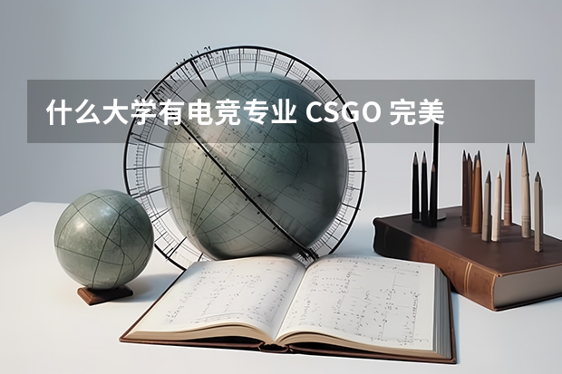 什么大学有电竞专业 CSGO 完美世界电竞CSGO老K款毛绒地毯-169元起