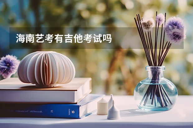 海南艺考有吉他考试吗