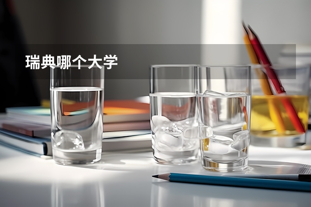 瑞典哪个大学