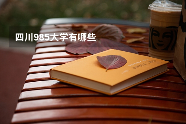 四川985大学有哪些