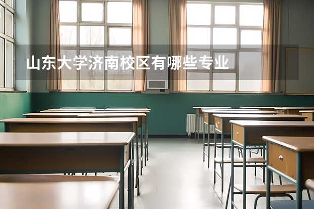 山东大学济南校区有哪些专业