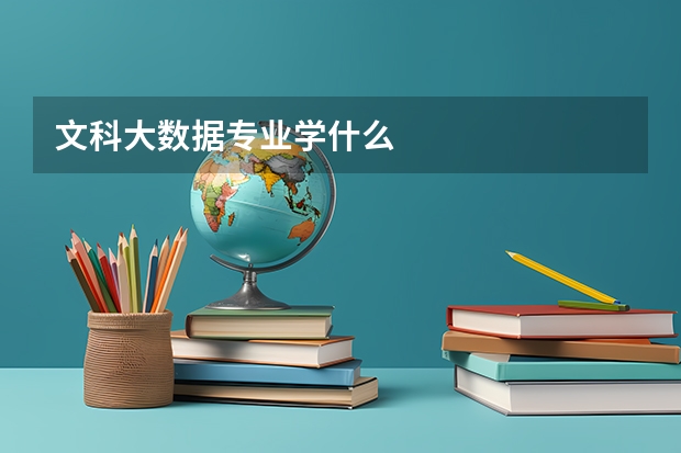 文科大数据专业学什么