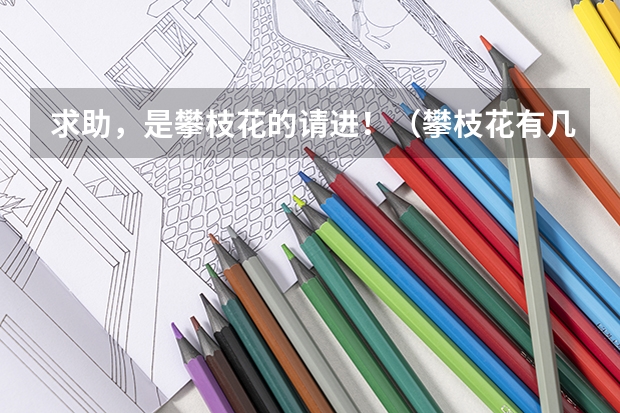 求助,是攀枝花的请进!(攀枝花有几个大学)