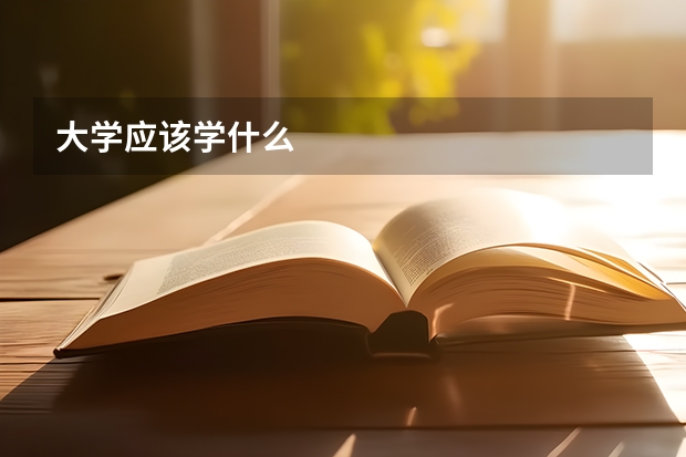 大学应该学什么